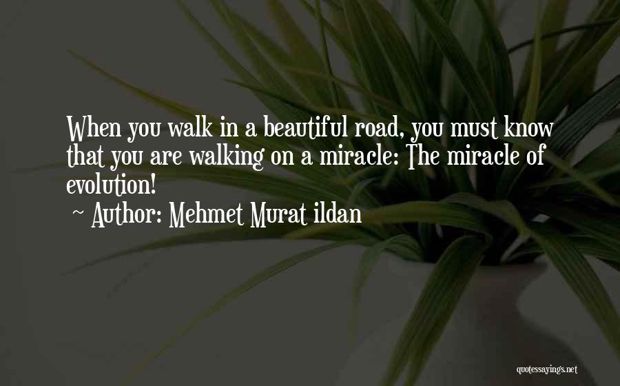 Walking The Road Quotes By Mehmet Murat Ildan