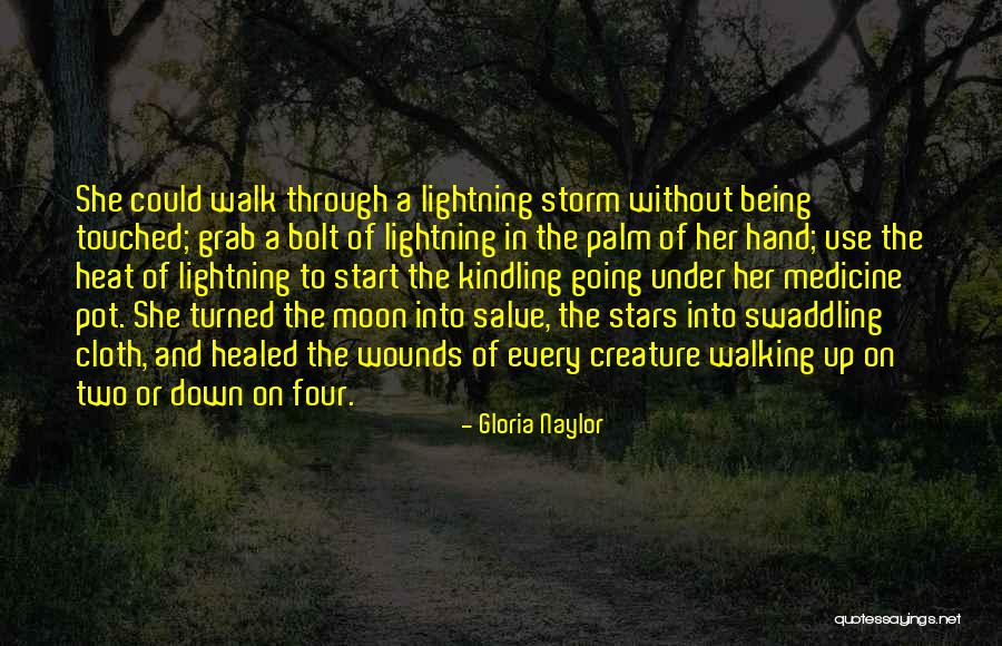 Walking Through The Storm Quotes By Gloria Naylor Walking Through The Storm Quotes By Gloria Naylor