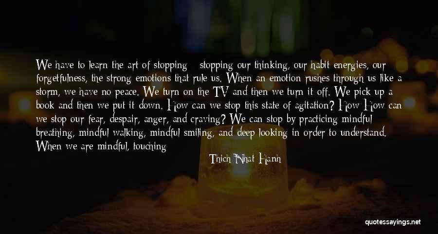 Walking Through The Storm Quotes By Thich Nhat Hanh Walking Through The Storm Quotes By Thich Nhat Hanh