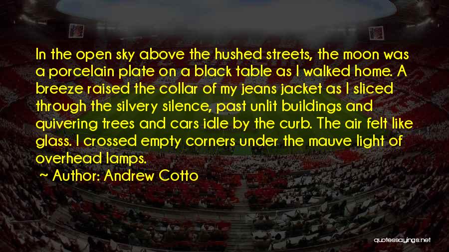 Walking Through The Streets Quotes By Andrew Cotto