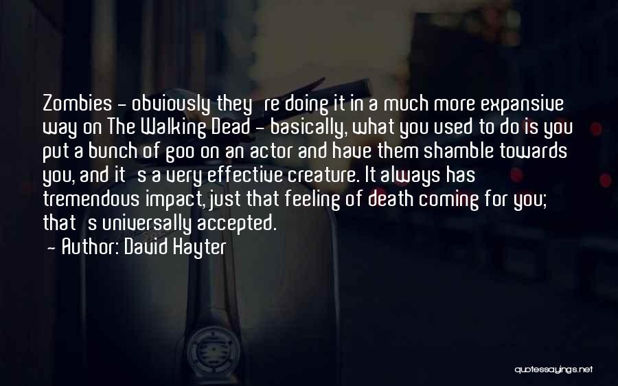 Walking Towards You Quotes By David Hayter