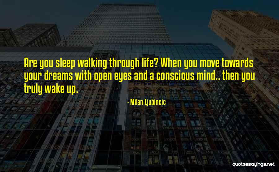 Walking Towards Your Dreams Quotes By Milan Ljubincic