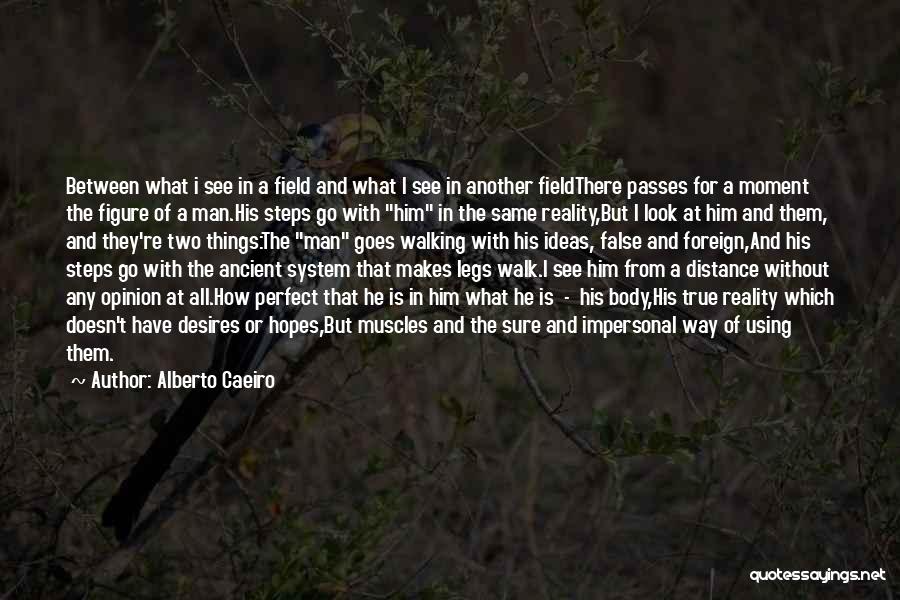 Walking With Nature Quotes By Alberto Caeiro