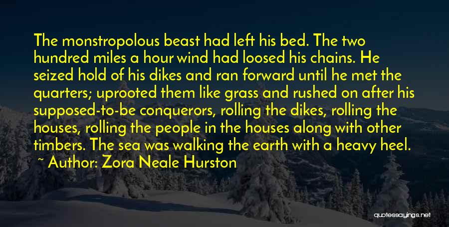 Walking With Nature Quotes By Zora Neale Hurston