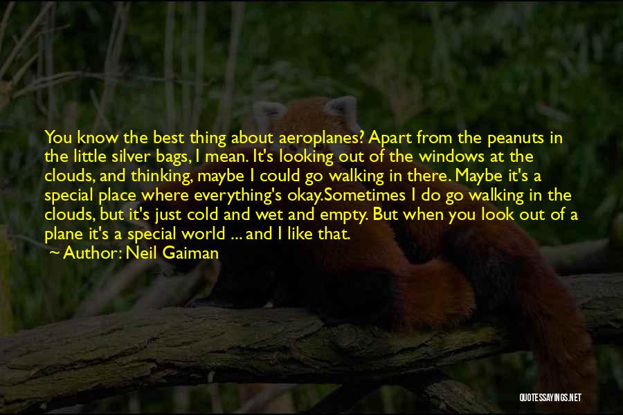 Walking With Someone Special Quotes By Neil Gaiman