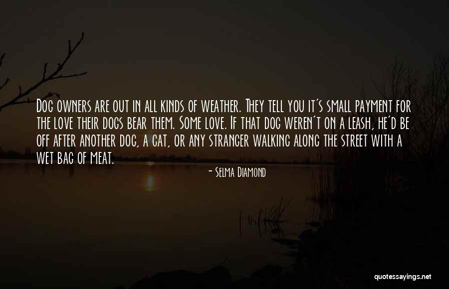 Walking With You Love Quotes By Selma Diamond