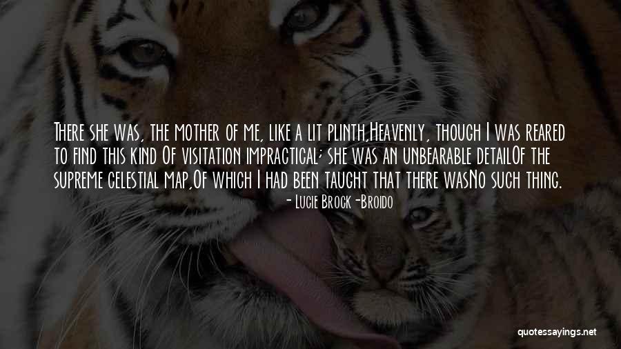 Walkner Condon Quotes By Lucie Brock-Broido Walkner Condon Quotes By Lucie Brock-Broido