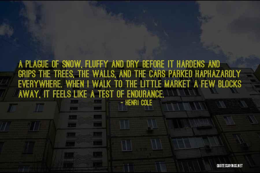 Wall Block Quotes By Henri Cole Wall Block Quotes By Henri Cole