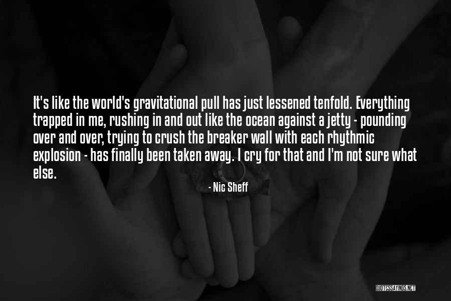 Wall Breaker Quotes By Nic Sheff Wall Breaker Quotes By Nic Sheff