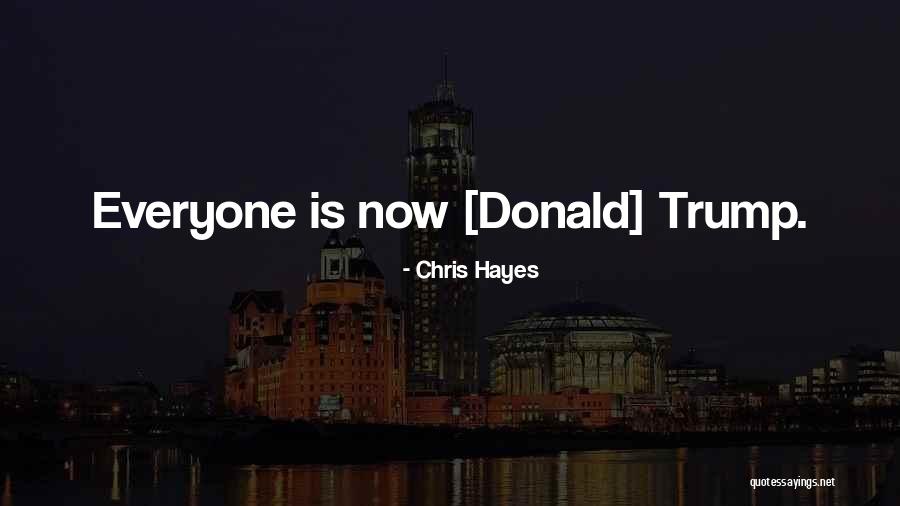 Wall Decal Quotes By Chris Hayes Wall Decal Quotes By Chris Hayes
