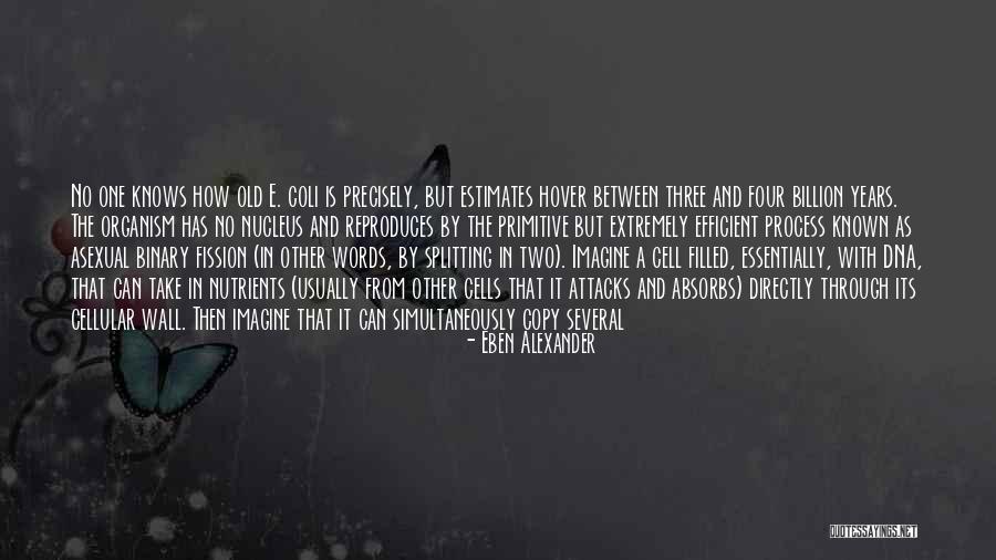 Wall-e Quotes By Eben Alexander Wall-e Quotes By Eben Alexander