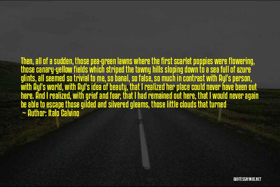 Wall Full Of Quotes By Italo Calvino