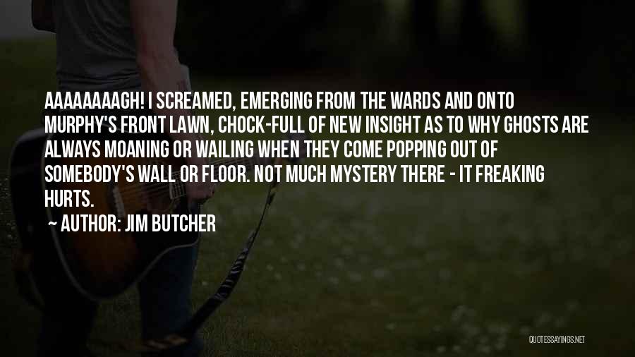 Wall Full Of Quotes By Jim Butcher