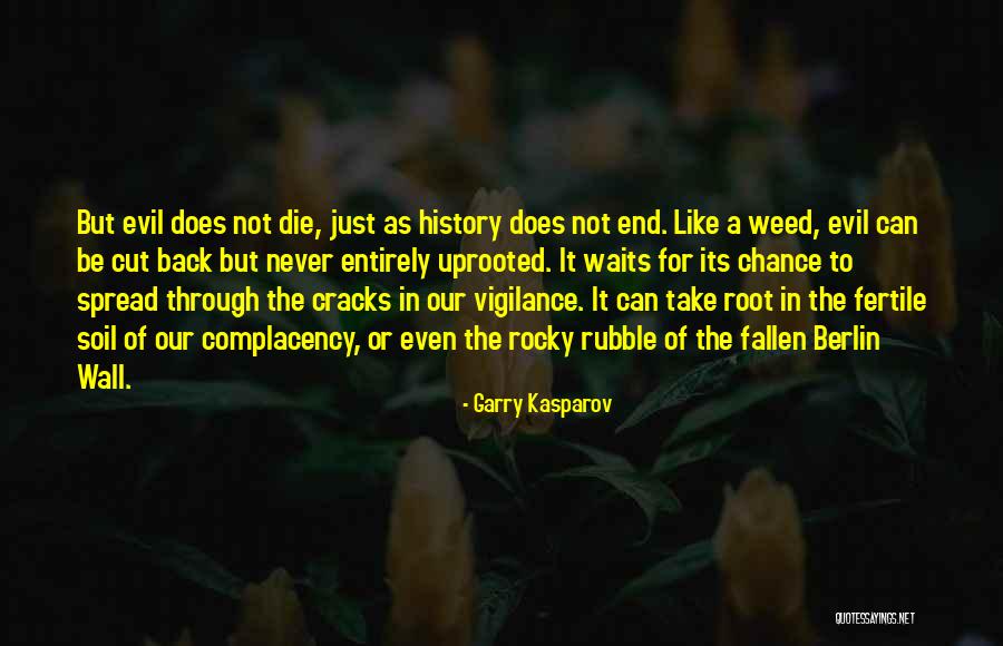 Wall Of Berlin Quotes By Garry Kasparov Wall Of Berlin Quotes By Garry Kasparov