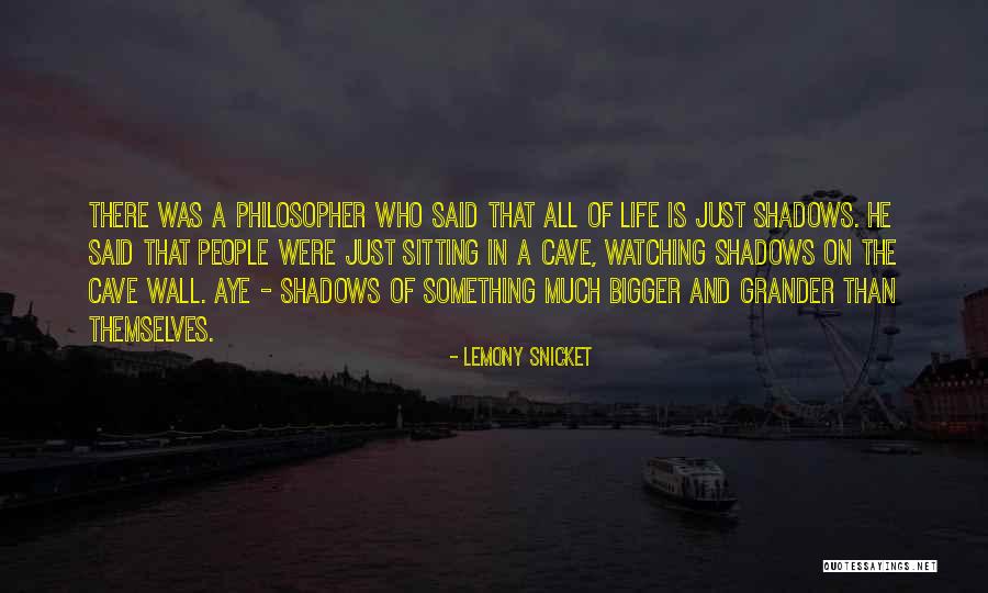 Wall Of Life Quotes By Lemony Snicket