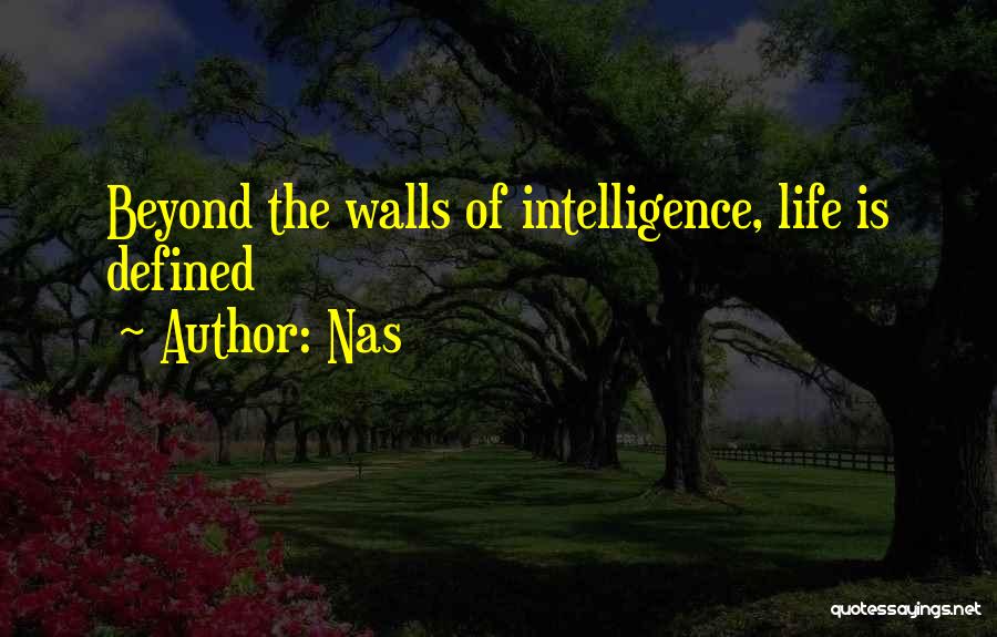 Wall Of Life Quotes By Nas