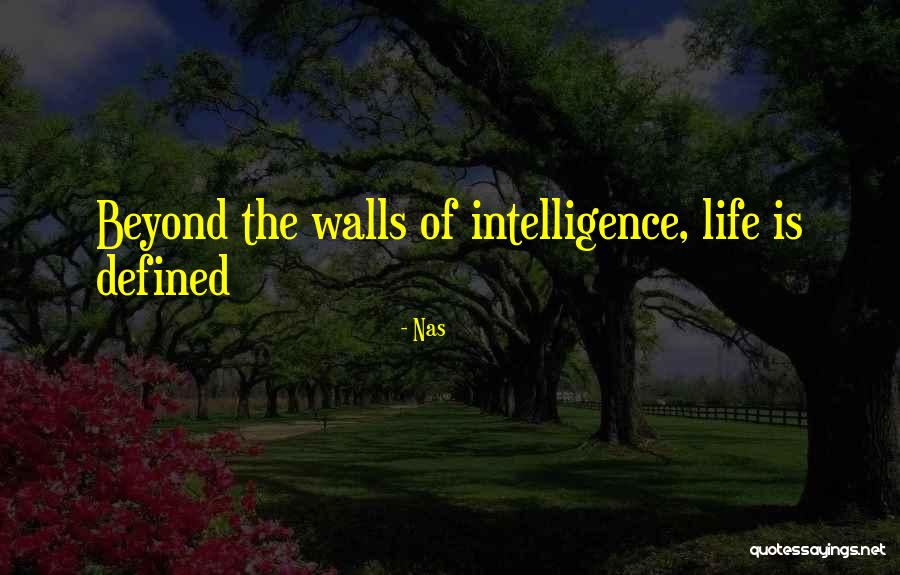 Wall Of Life Quotes By Nas