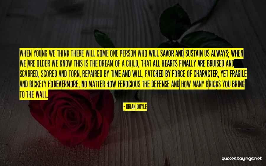 Wall Of Quotes By Brian Doyle Wall Of Quotes By Brian Doyle