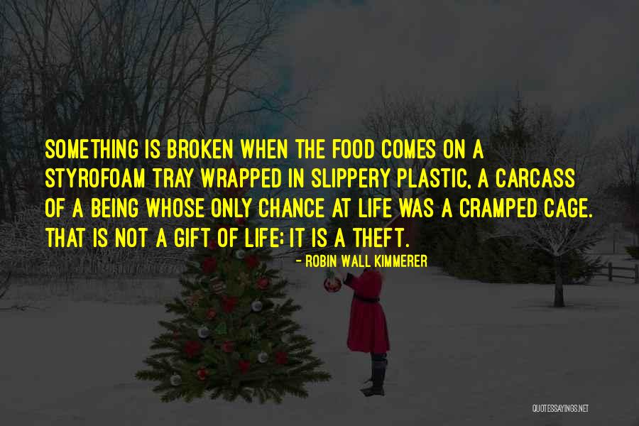 Wall Of Quotes By Robin Wall Kimmerer Wall Of Quotes By Robin Wall Kimmerer