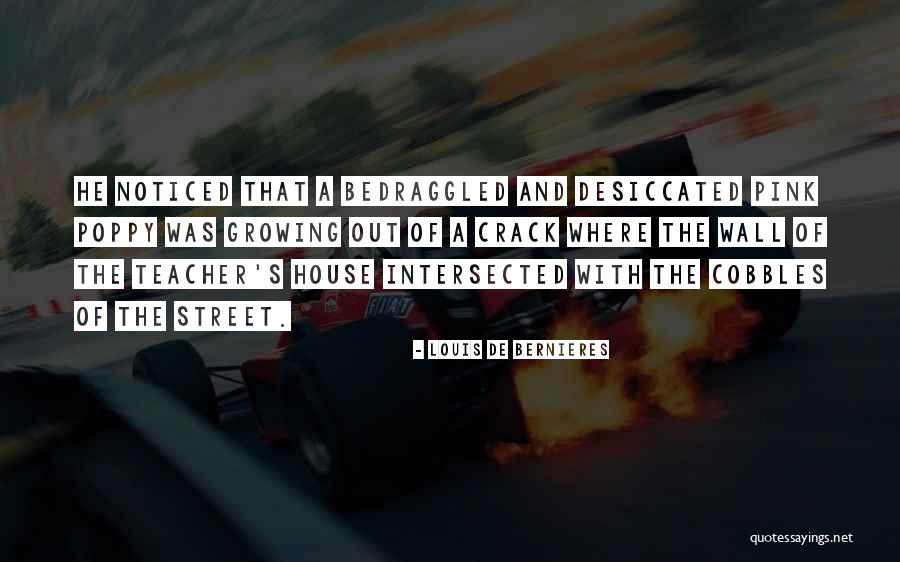 Wall Of Street Quotes By Louis De Bernieres Wall Of Street Quotes By Louis De Bernieres