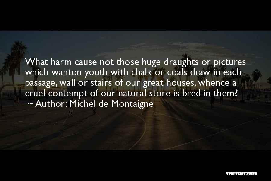 Wall Pictures Of Quotes By Michel De Montaigne