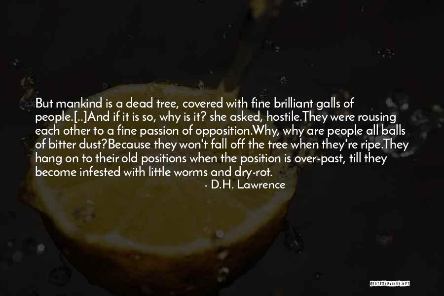 Wall Sit Challenge Quotes By D.H. Lawrence