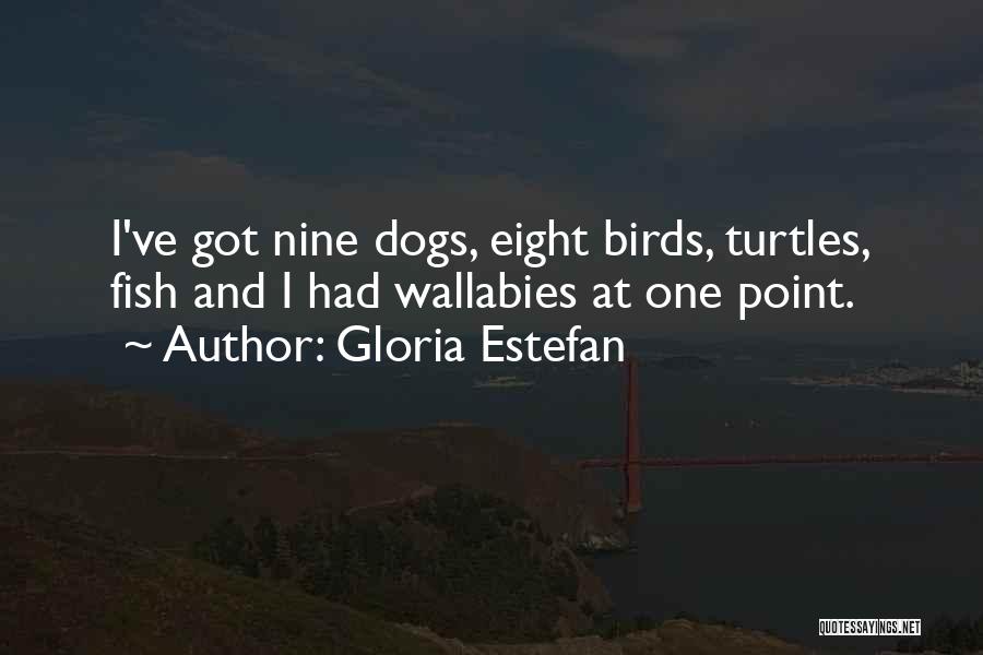Wallabies Quotes By Gloria Estefan
