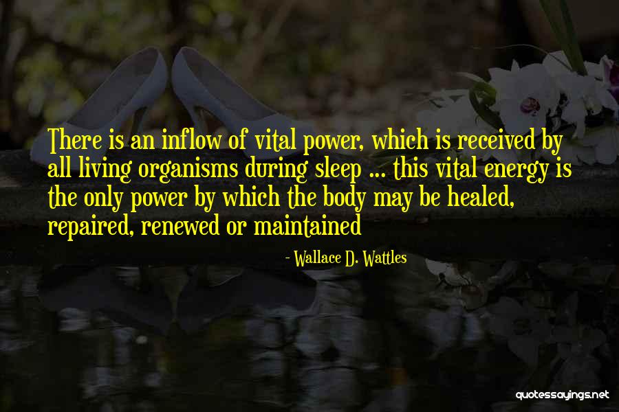 Wallace D. Wattles Quotes 2256088