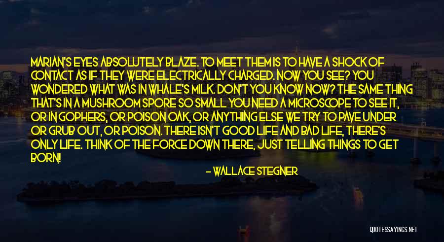 Wallace Stegner Quotes 1454112 Wallace Stegner Quotes 1454112
