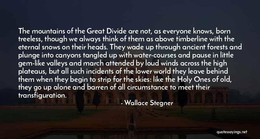 Wallace Stegner Quotes 2044803