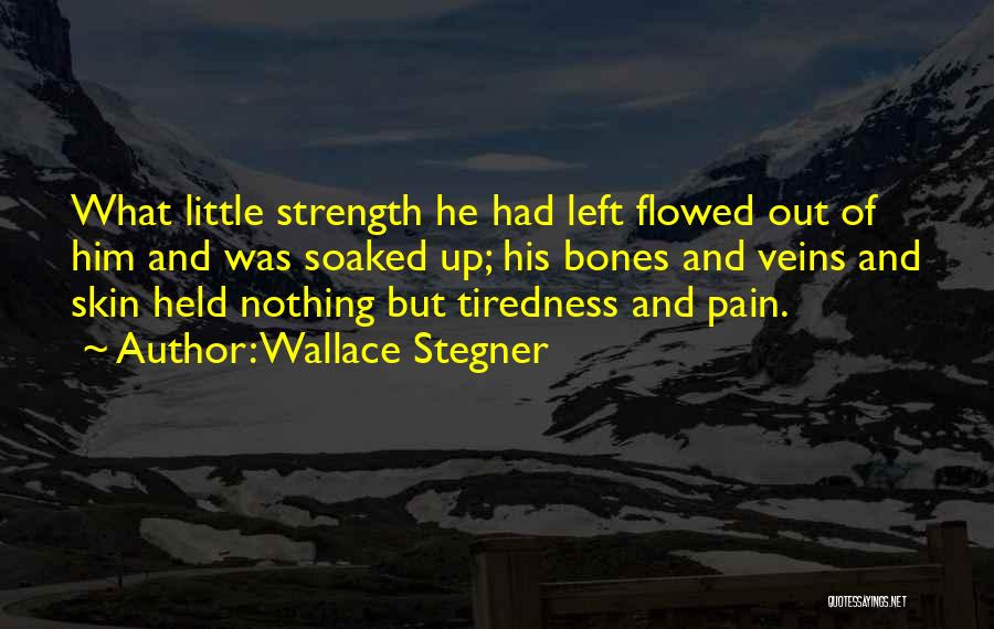 Wallace Stegner Quotes 641362