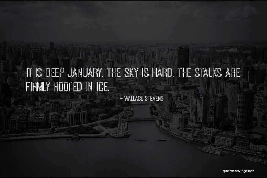 Wallace Stevens Quotes 1155098 Wallace Stevens Quotes 1155098