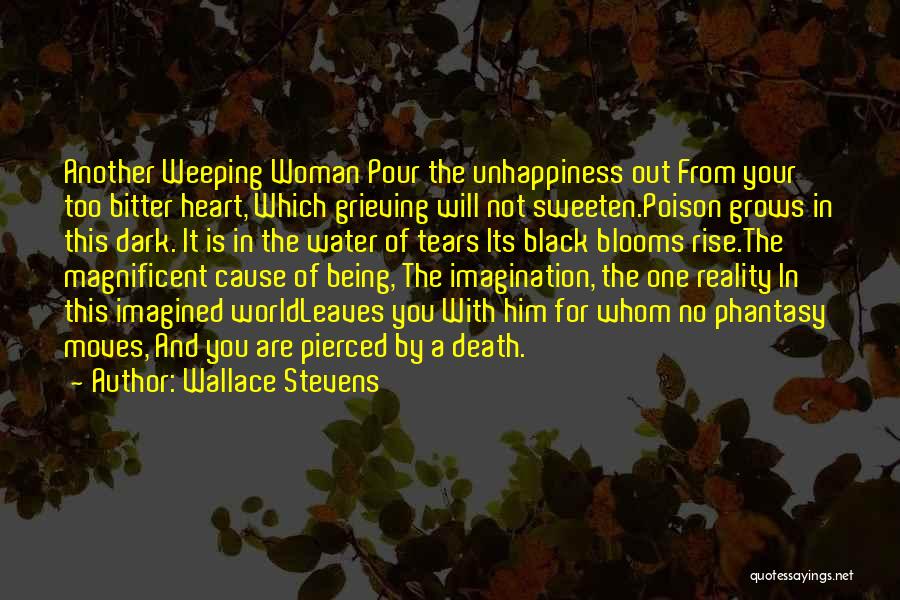 Wallace Stevens Quotes 160789