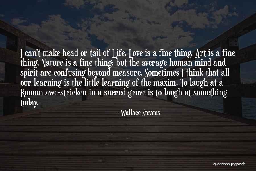 Wallace Stevens Quotes 2227100