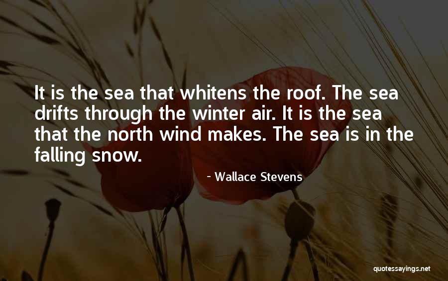 Wallace Stevens Quotes 291916