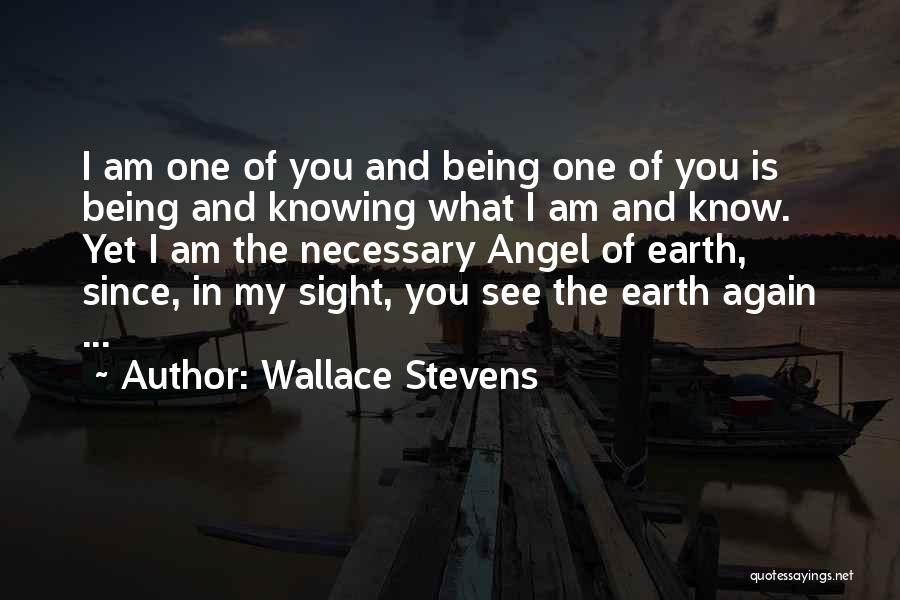 Wallace Stevens Quotes 561500