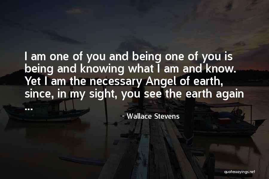 Wallace Stevens Quotes 561500