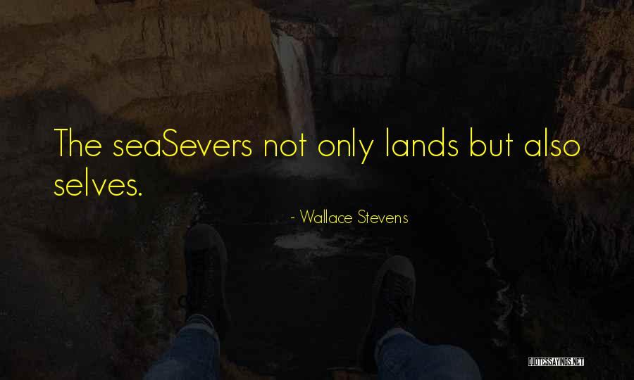 Wallace Stevens Quotes 573639