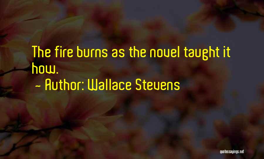 Wallace Stevens Quotes 963815