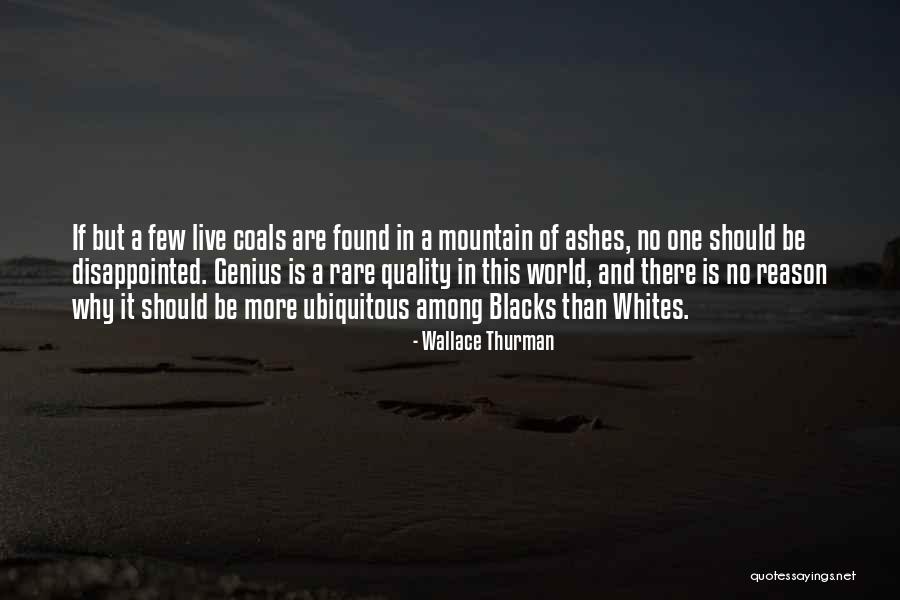 Wallace Thurman Quotes 1173012 Wallace Thurman Quotes 1173012