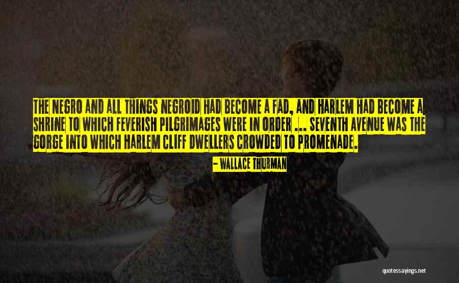 Wallace Thurman Quotes 774777