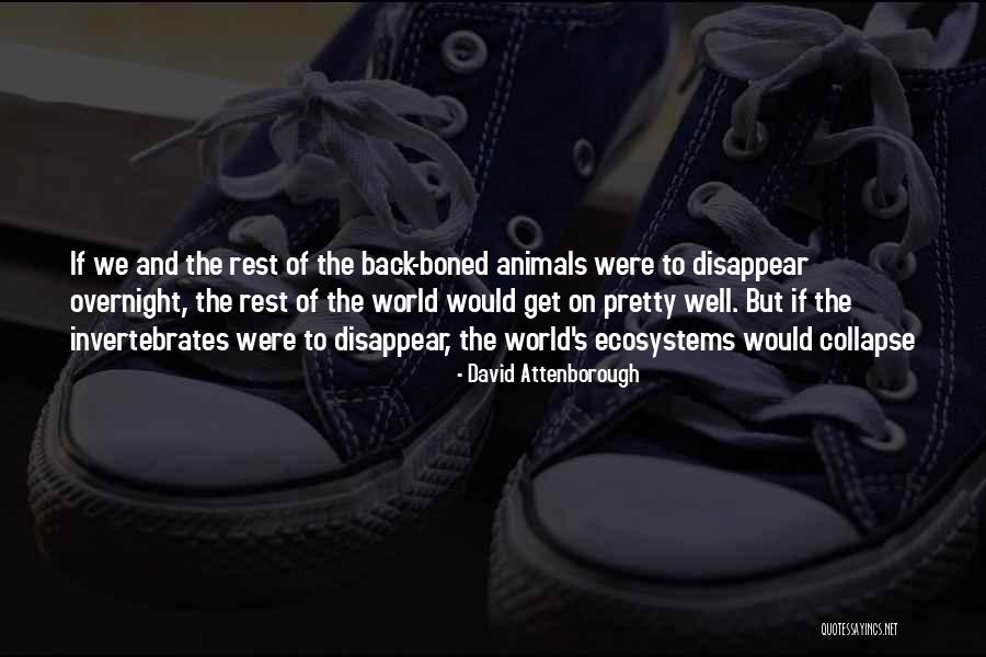 Wallachia Reign Quotes By David Attenborough Wallachia Reign Quotes By David Attenborough