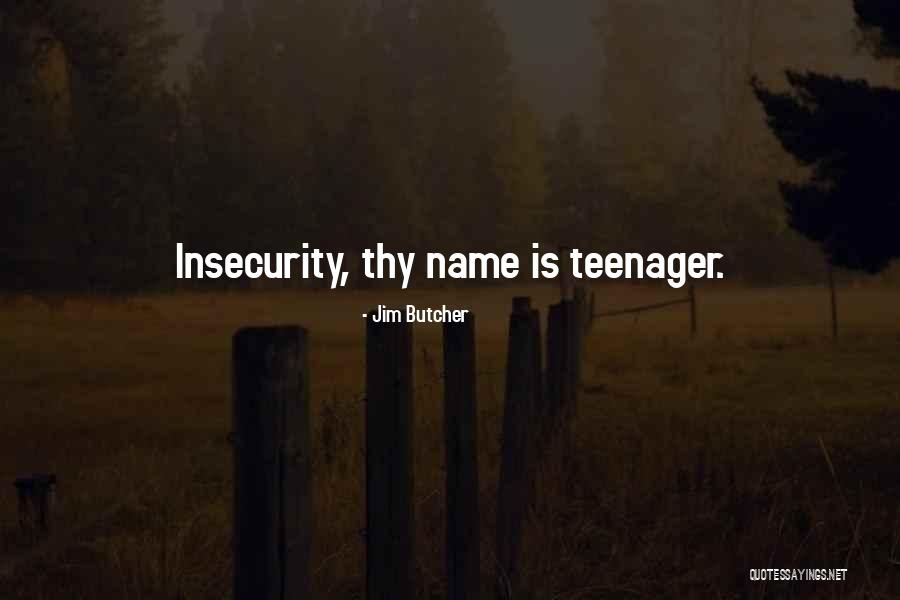Wallbangers Salida Quotes By Jim Butcher