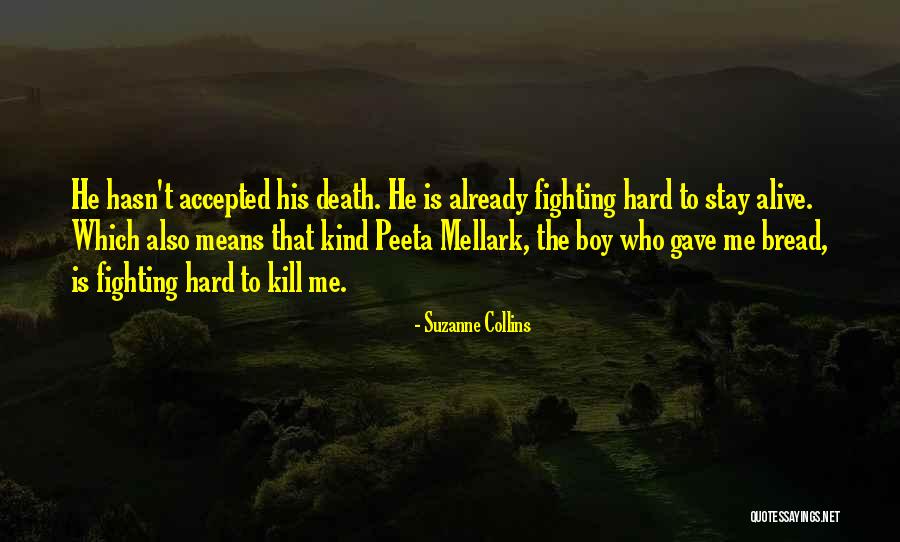 Wallenberg Raoul Quotes By Suzanne Collins Wallenberg Raoul Quotes By Suzanne Collins