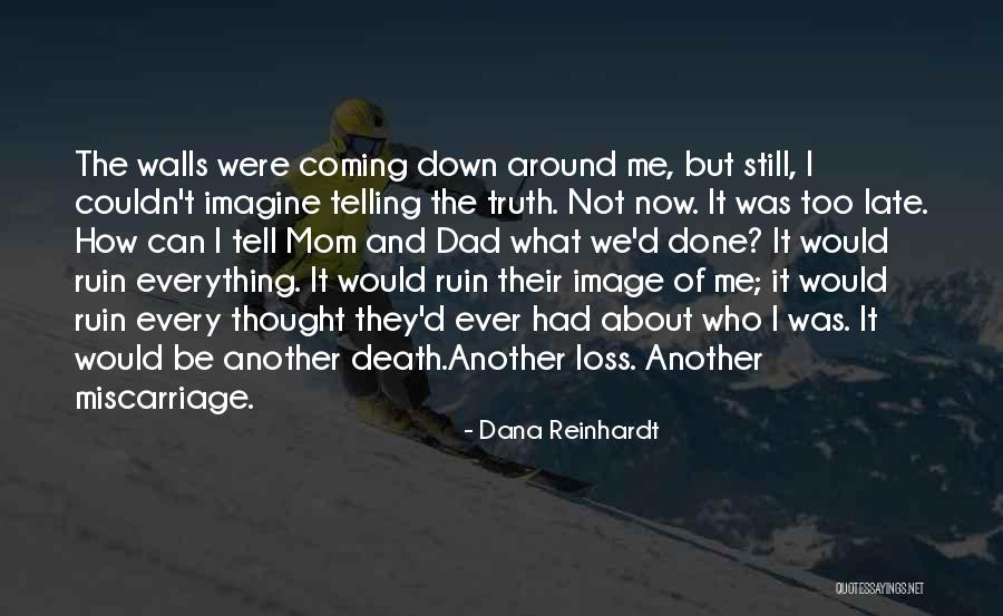 Walls Coming Down Quotes By Dana Reinhardt Walls Coming Down Quotes By Dana Reinhardt