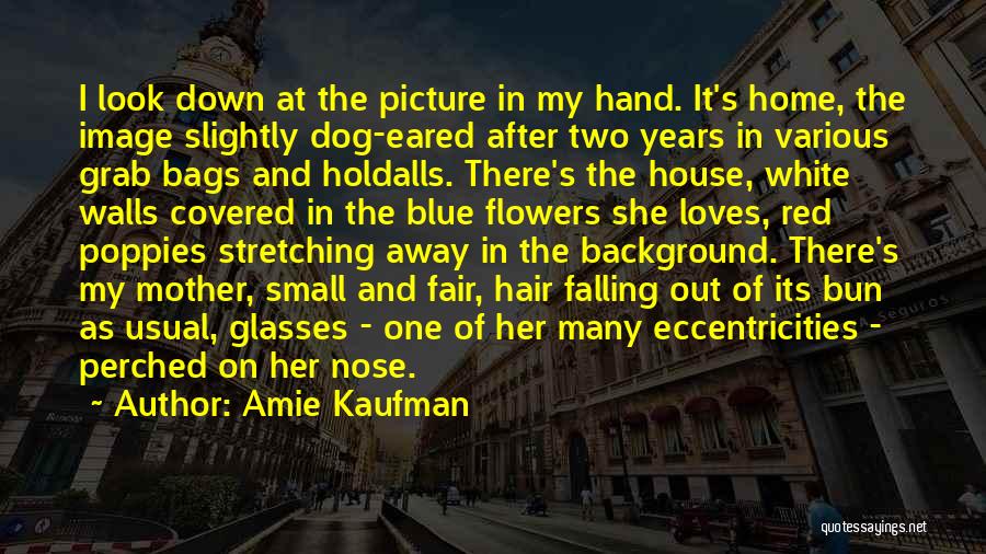 Walls Falling Down Quotes By Amie Kaufman