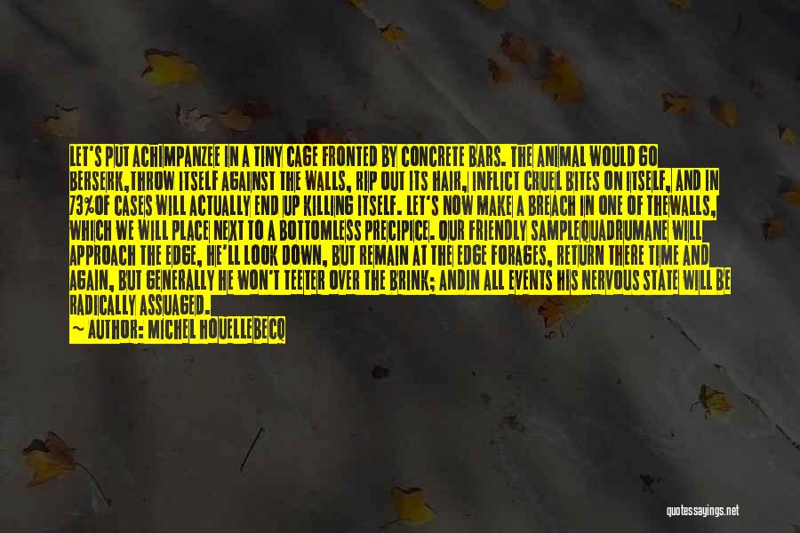 Walls Put Up Quotes By Michel Houellebecq