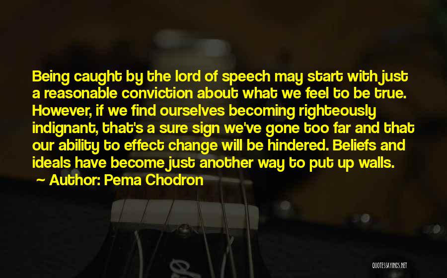 Walls Put Up Quotes By Pema Chodron