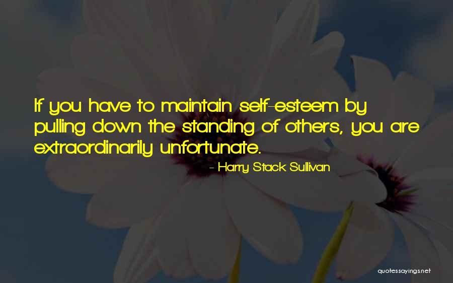 Wallstents Quotes By Harry Stack Sullivan Wallstents Quotes By Harry Stack Sullivan