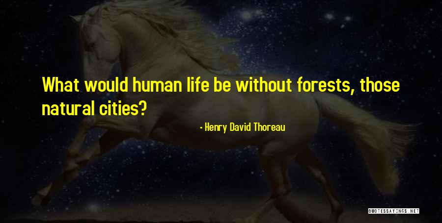 Wally Gator Quotes By Henry David Thoreau Wally Gator Quotes By Henry David Thoreau